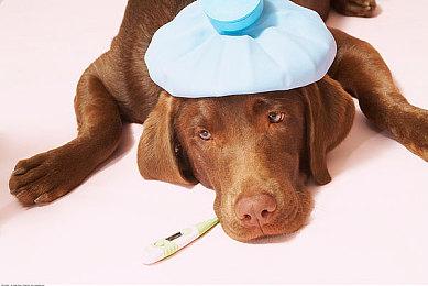 《极限竞速：地平线5》玩家人数破2800万 DLC周四发布